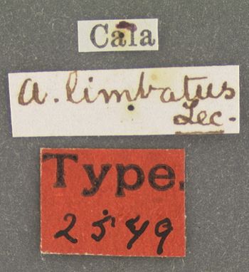 Media type: image;   Entomology 2549 Aspect: labels